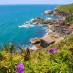 passeio ilha do campeche ecoturismo sul da ilha 23