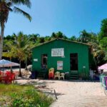 passeio ilha do campeche ecoturismo sul da ilha 26