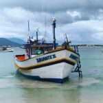 38c50b6c b8e7 472c b722 d628fde8e01e