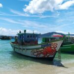 47b469b7 0188 47ac a6d5 912f3ddbe4a8