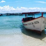 8c987423 f377 4520 b4be c19756101a7e