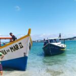 dc031d41 d378 4bb1 b48f 94d5784f3fe0