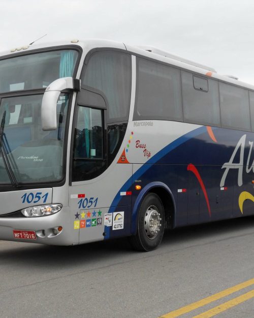 excursao beto carrero world onibus turismo 10