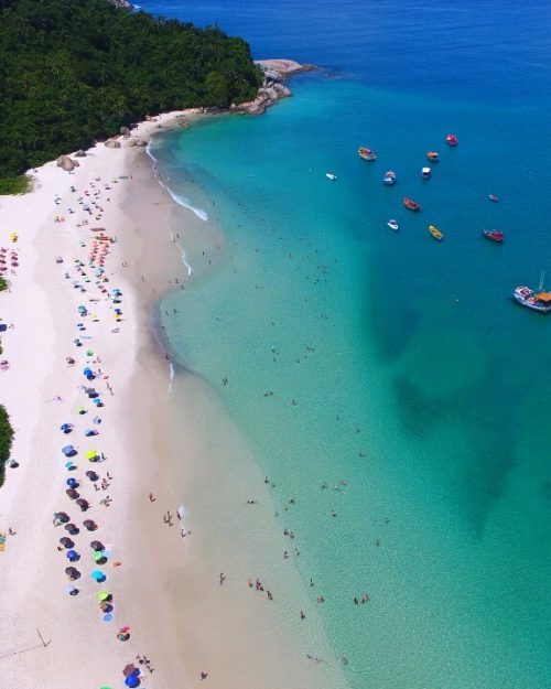 passeio ilha do campeche ecoturismo sul da ilha 37